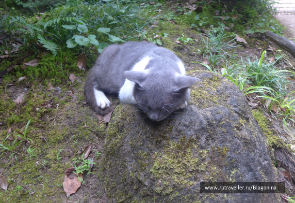 photo 1814678