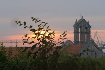 photo 2013610