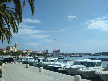 photo 1807627