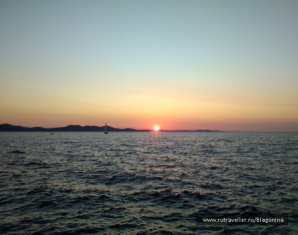 photo 1803455
