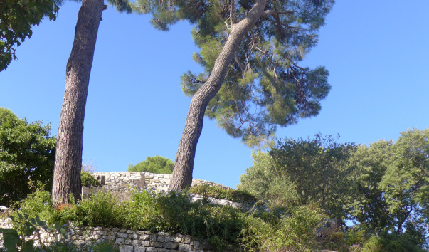 P1050010