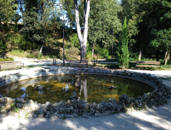 photo 1812325