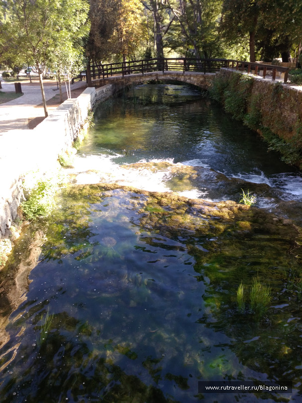 photo 1806036
