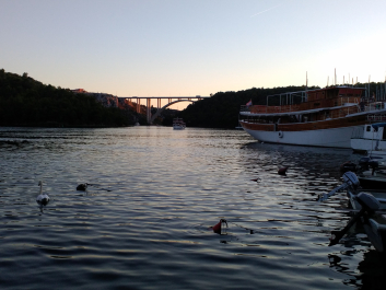 photo 1808096