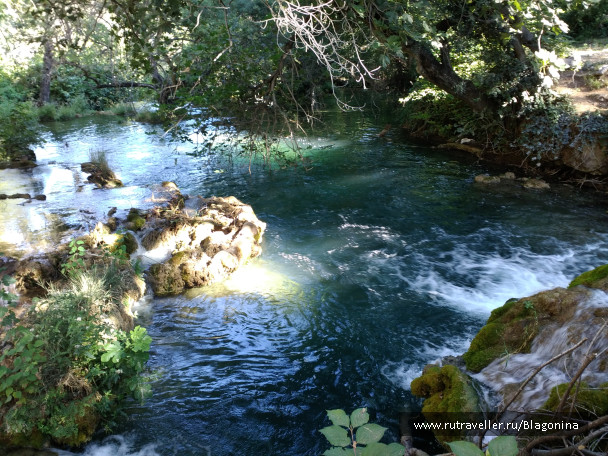 photo 1808167