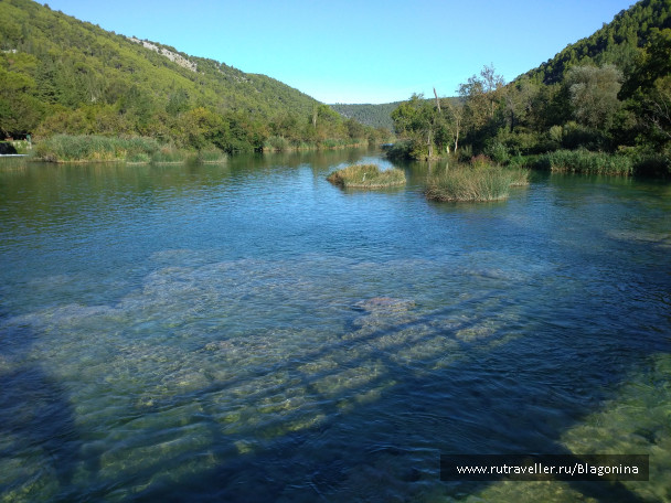 photo 1865465