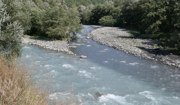 P1068889