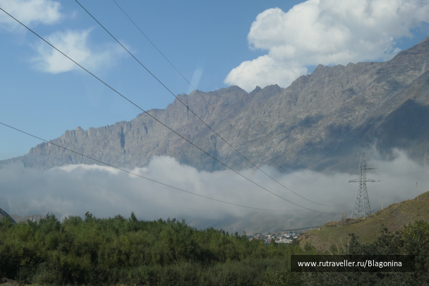 photo 2022497