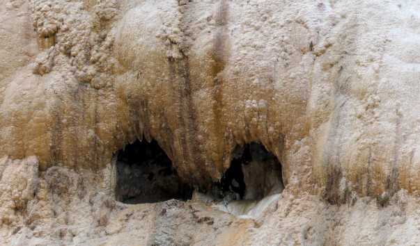 P1069064.MP4_snapshot_00.01.001