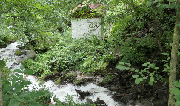 P1058168