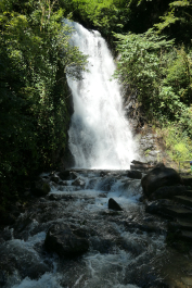 photo 2020363