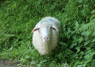photo 2022724