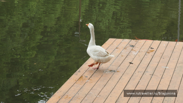 photo 2105074