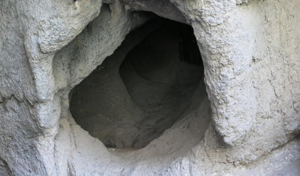 P1104659