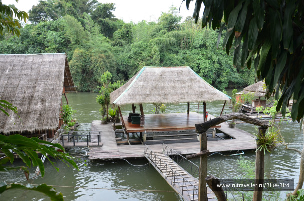 photo 247563