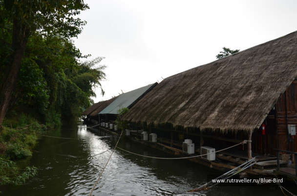 photo 247564