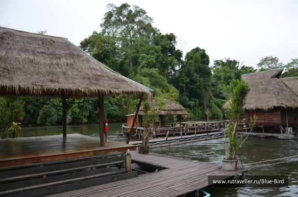 photo 247565