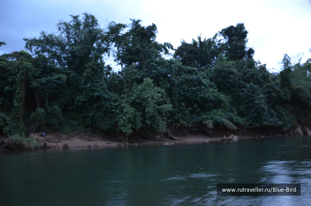 photo 247567