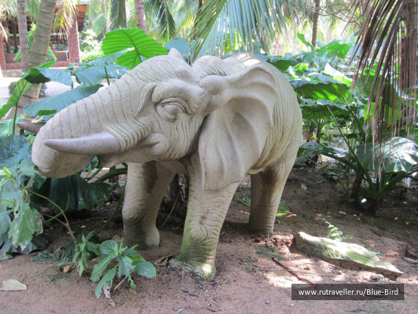 photo 240776