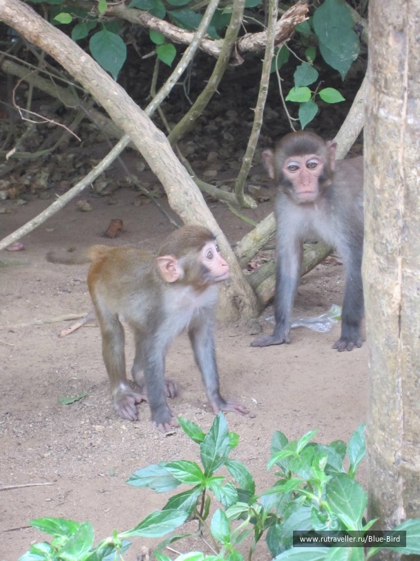 photo 240889