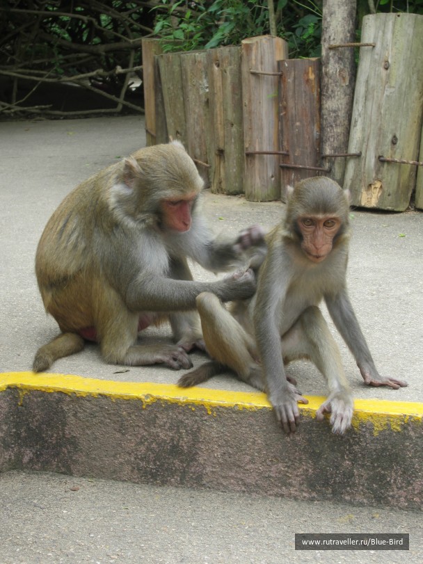 photo 240886
