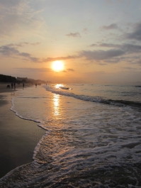 photo 240893