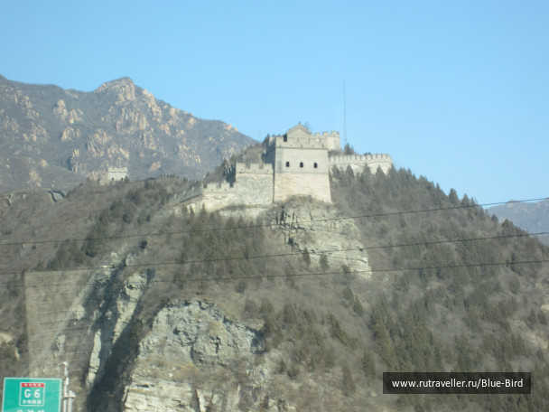photo 253443