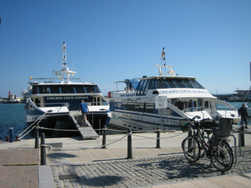 photo 240724
