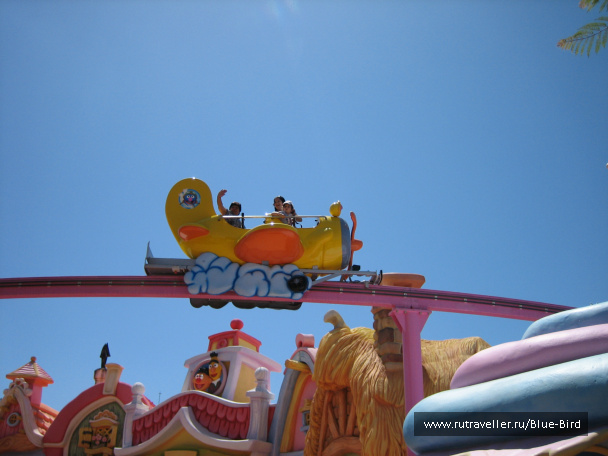 photo 240734