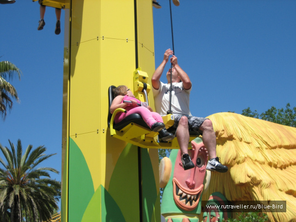 photo 240739