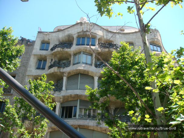 photo 240761