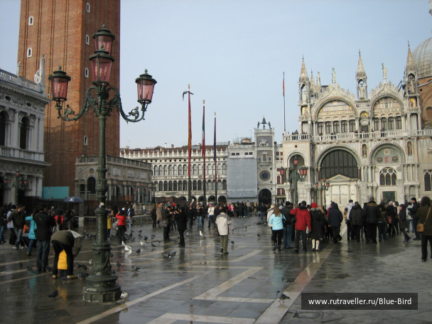 photo 247538