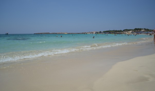 51c0b4954128f.jpg