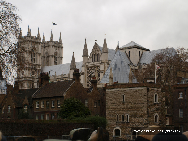 photo 228362