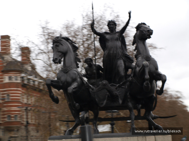 photo 228369