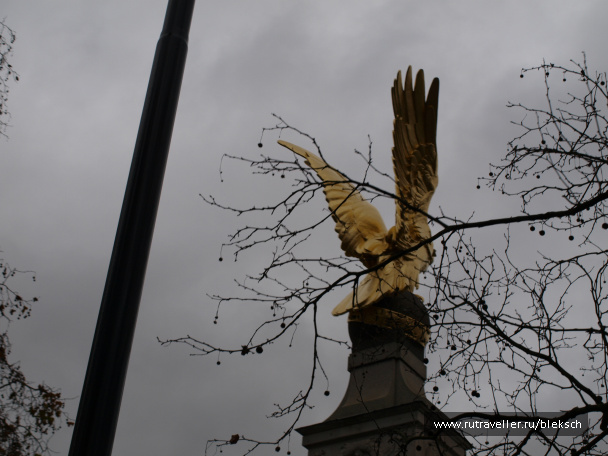 photo 228377