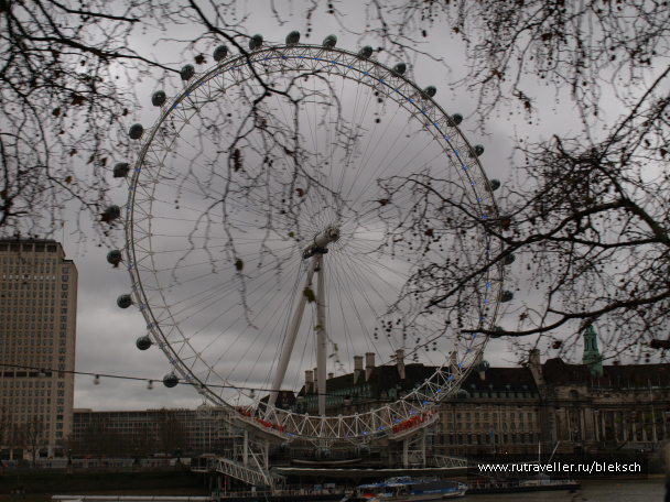photo 228379
