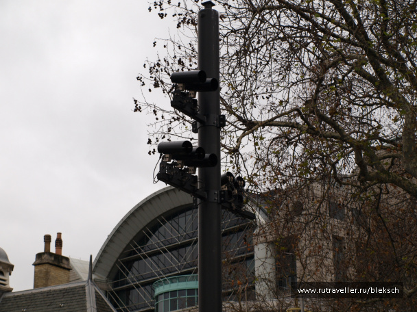 photo 228380