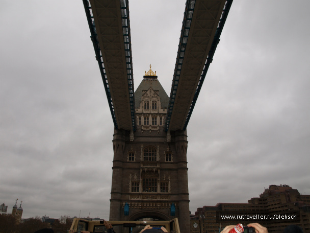 photo 228394