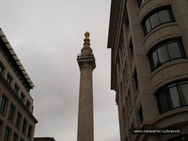 photo 228412