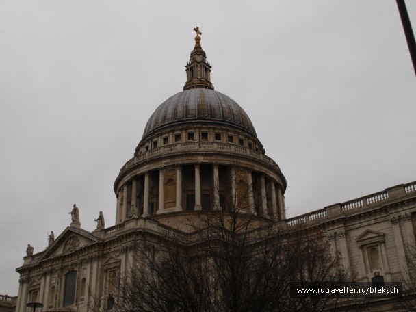 photo 228418