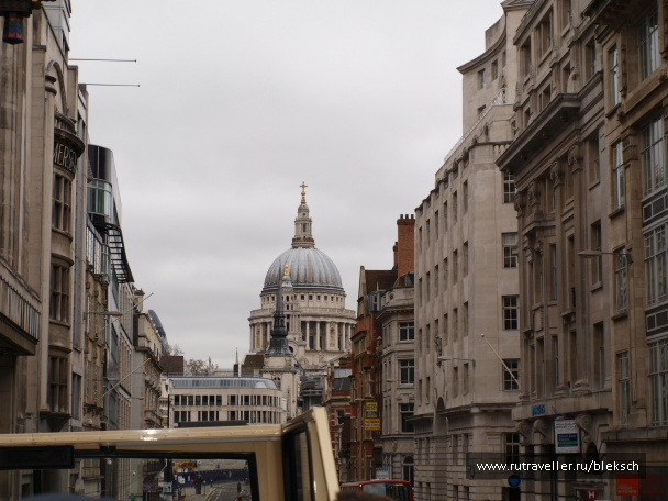 photo 228423