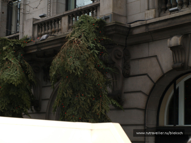 photo 228430