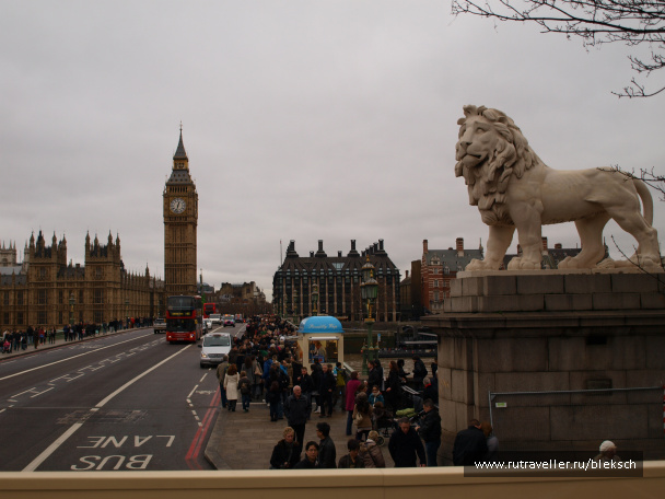 photo 228446