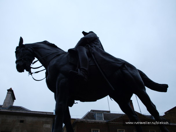 photo 228458