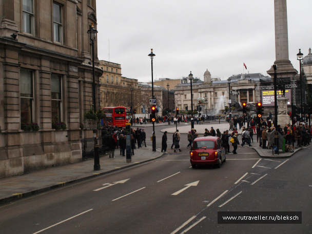 photo 228460