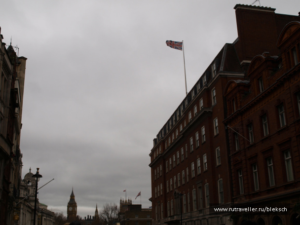 photo 228461