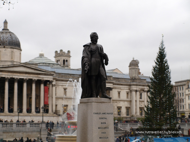 photo 228465