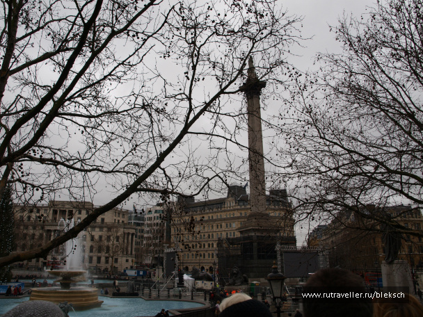 photo 228466