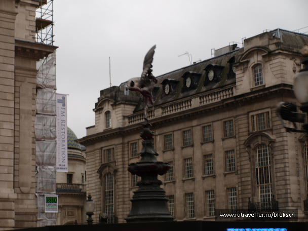 photo 228471